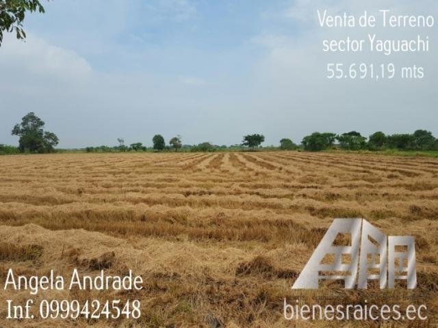 #249 - TERRENOS para Venta en Yaguachi - G - 1