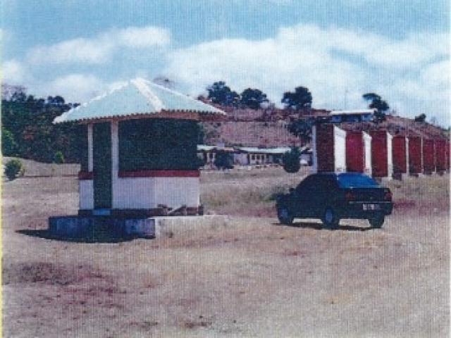  para  en  - 3