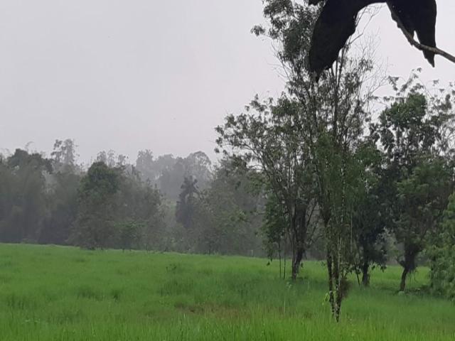 HACIENDA para Venta en Guayaquil - 5