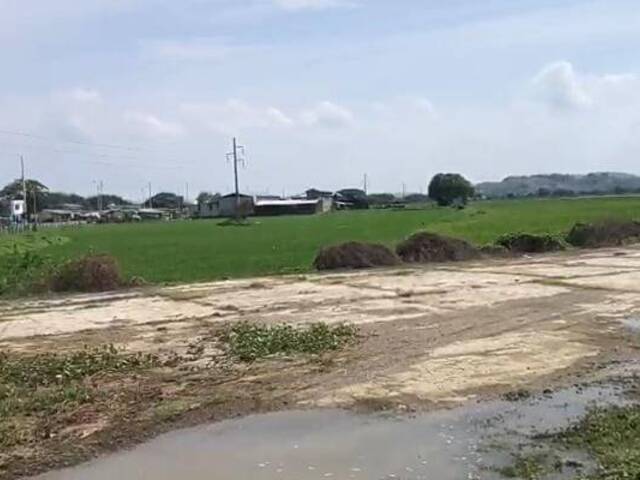 TERRENOS para Venta en Guayaquil - 3