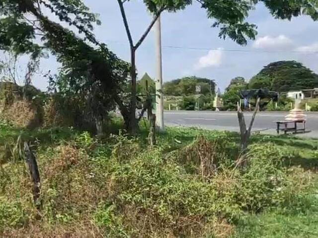TERRENOS para Venta en Guayaquil - 4