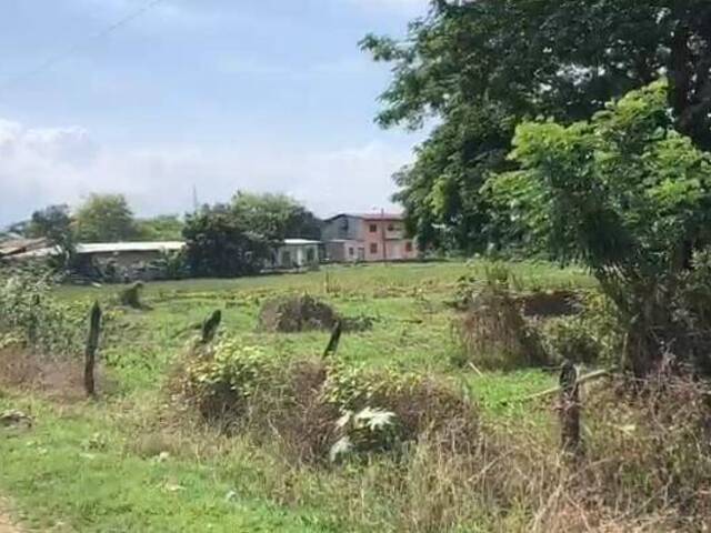 TERRENOS para Venta en Guayaquil - 5
