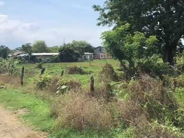 TERRENOS para Venta en Guayaquil - 2