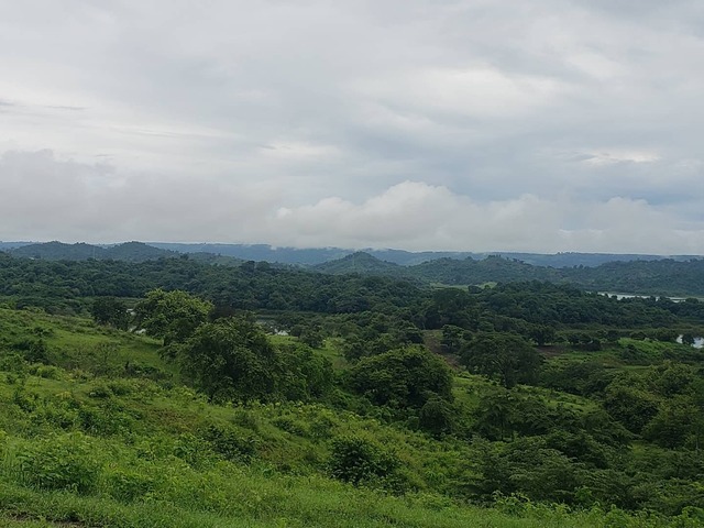 #1202 - TERRENOS para Venta en Guayaquil - G - 3