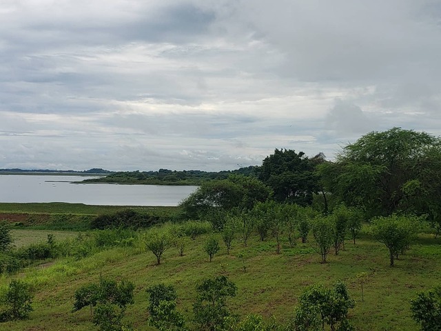 TERRENOS para Venta en Guayaquil - 4