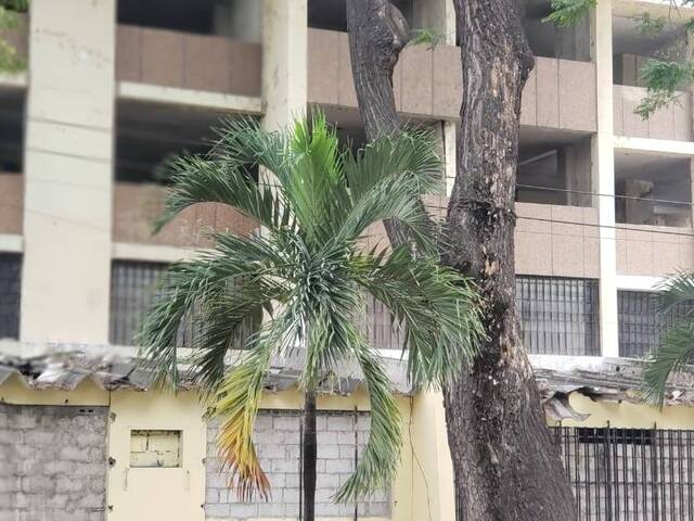 EDIFICIOS para Venta en Guayaquil - 4