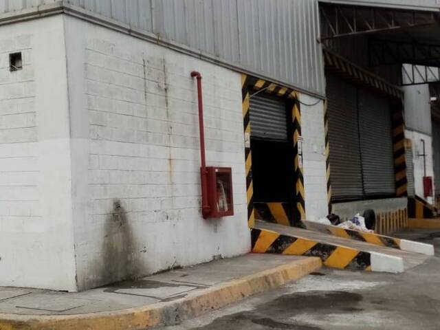 BODEGAS para Alquiler en Guayaquil - 4