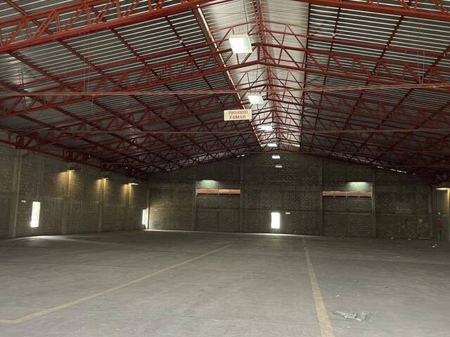 BODEGAS para Alquiler en Guayaquil - 4