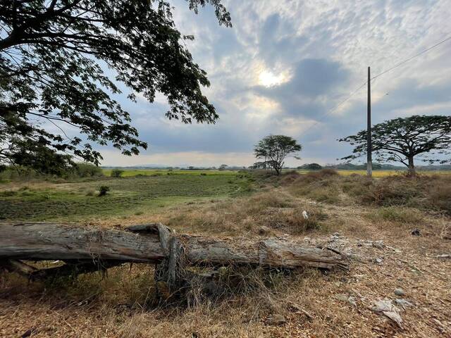 TERRENOS para Venta en Guayaquil - 3
