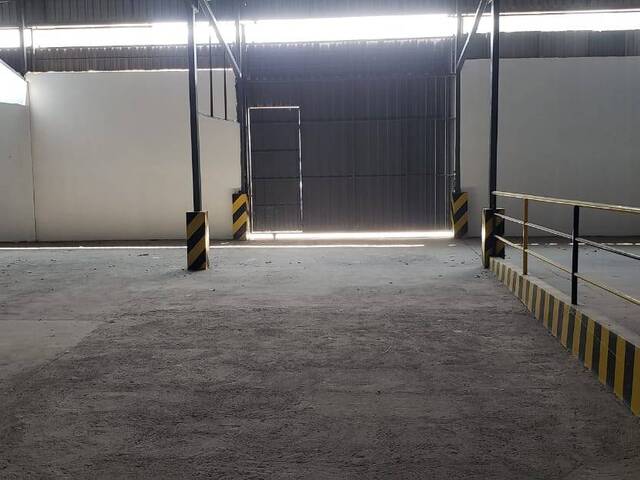 BODEGAS para Alquiler en Guayaquil - 4