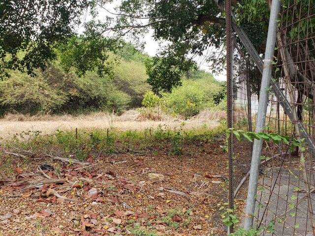 TERRENOS para Venta en Guayaquil - 5