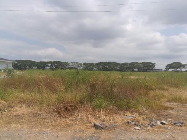 TERRENOS para Venta en Guayaquil - 2